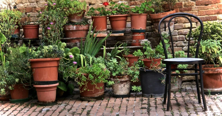 small balcony container garden with herbs and flowers