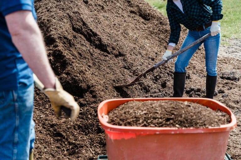compost-and-gardening-featured