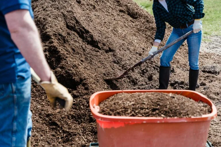 compost-and-gardening-featured