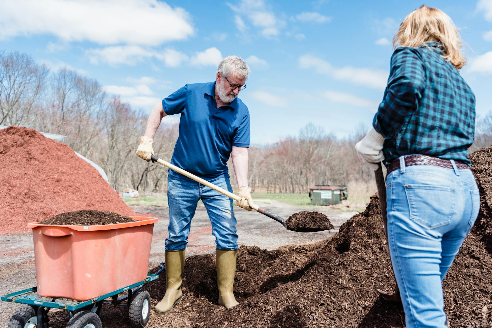 Gardener spreading finished compost over a raised vegetable bed