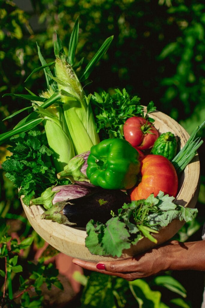 homesteading for beginners