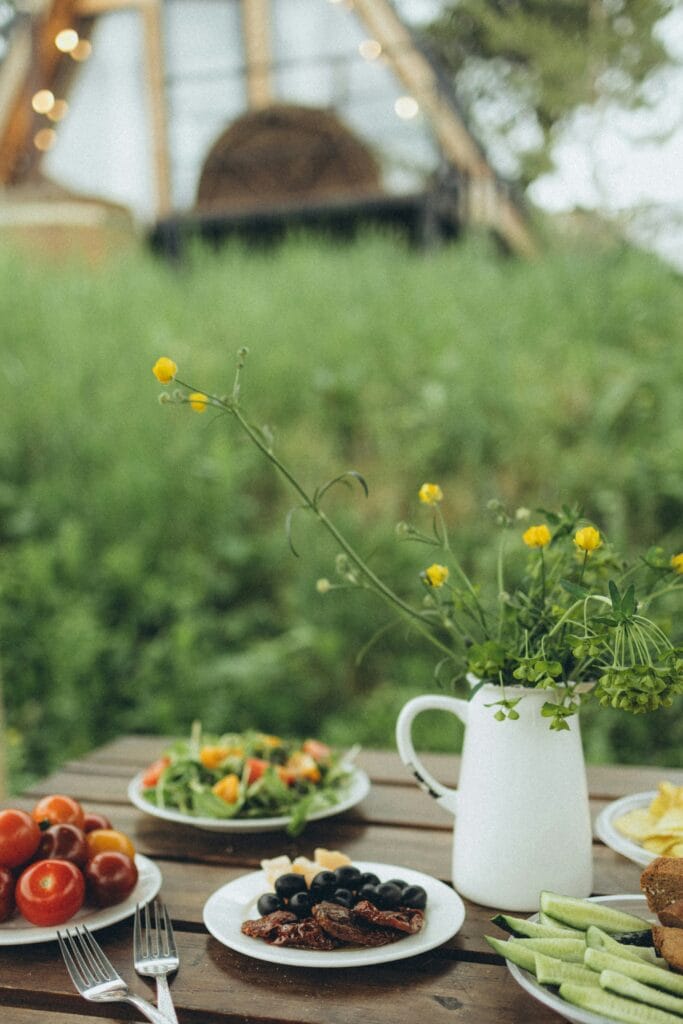 homesteading for beginners