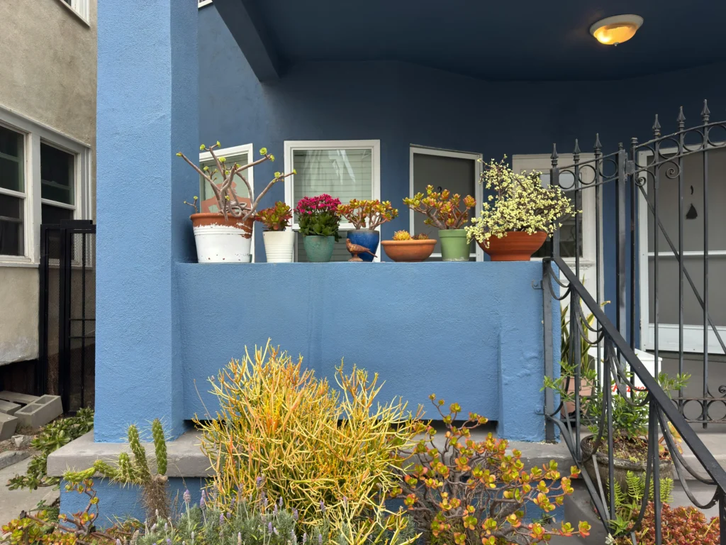 colorful flower pot ideas for porch and patio