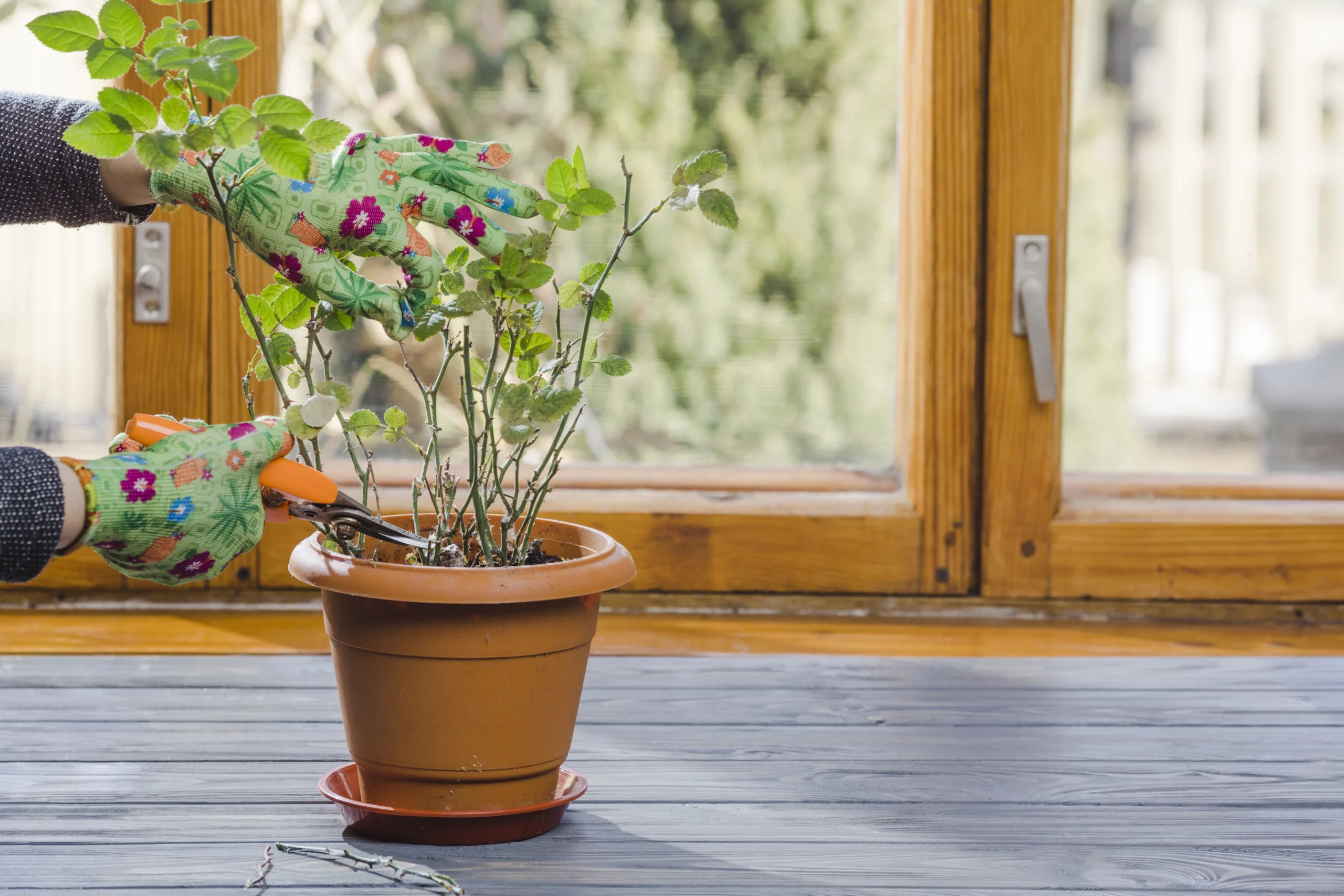 apartment balcony railing planters herbs flowers