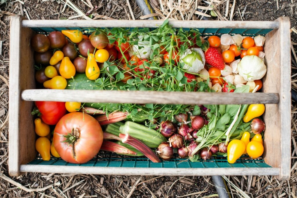 vegies