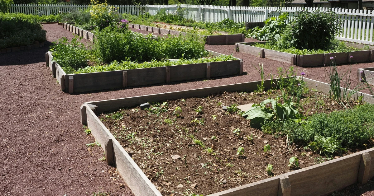 how to make raised garden beds