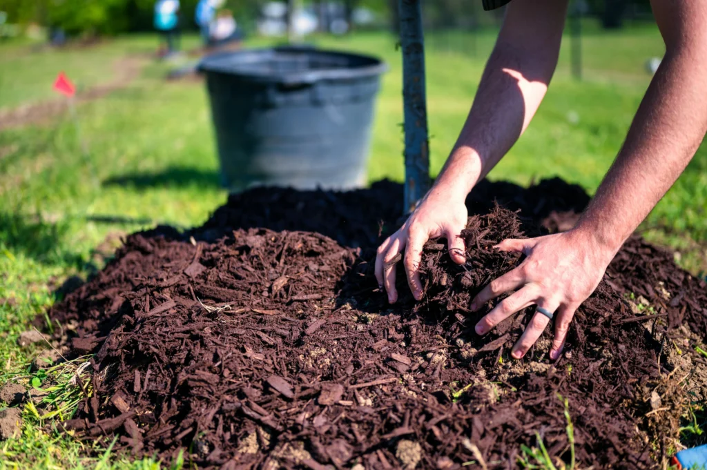 how to start composting