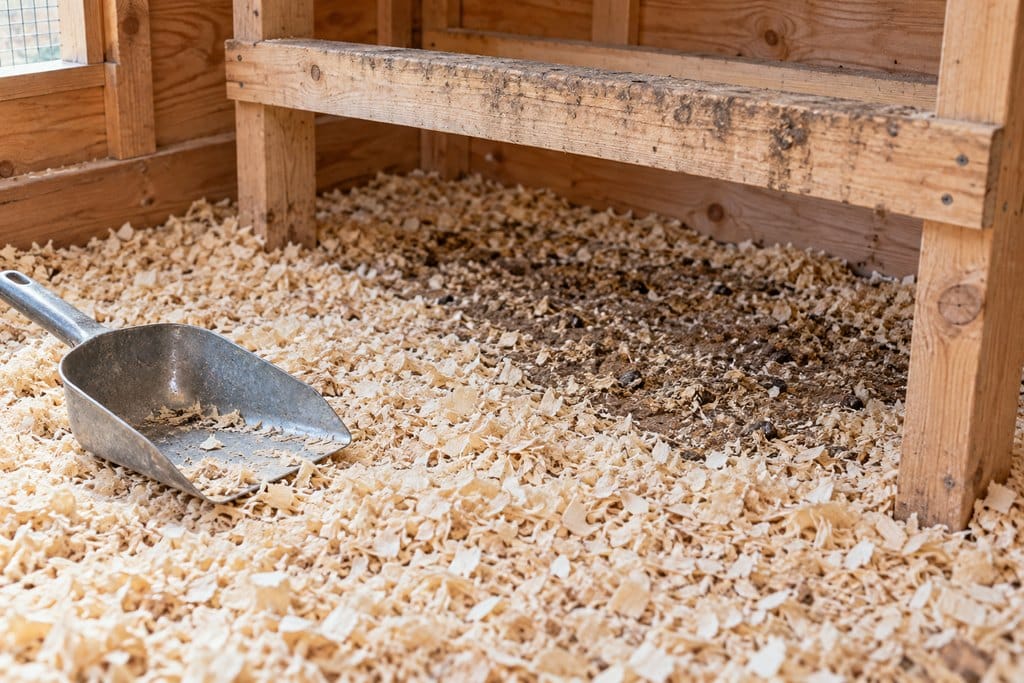 Dry pine shavings cover the coop floor beneath a wooden roost, with a scoop ready for routine cleaning.